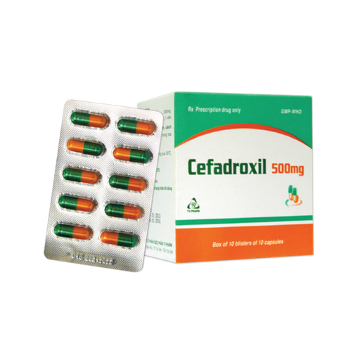 [4255] Viên nang cứng Cefadroxil 500mg V/10,H/100 (XL-Cam)