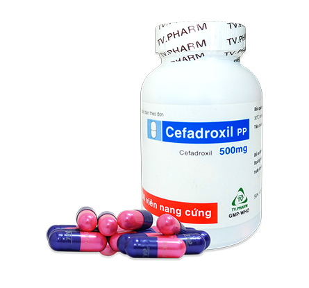 [4254] Viên nang cứng Cefadroxil PP 500mg, C/100 tròn